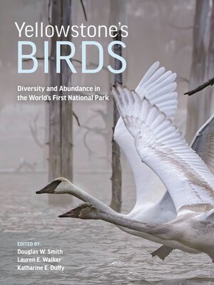 cover image of Yellowstone's Birds